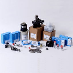 柴油机燃油泵头型号及配件详解